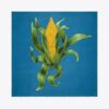 Corn Oversized Silk Square Scarf