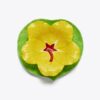 Lily Pad Bowl And Plate Set Lily Pad Bowl And Plate Set