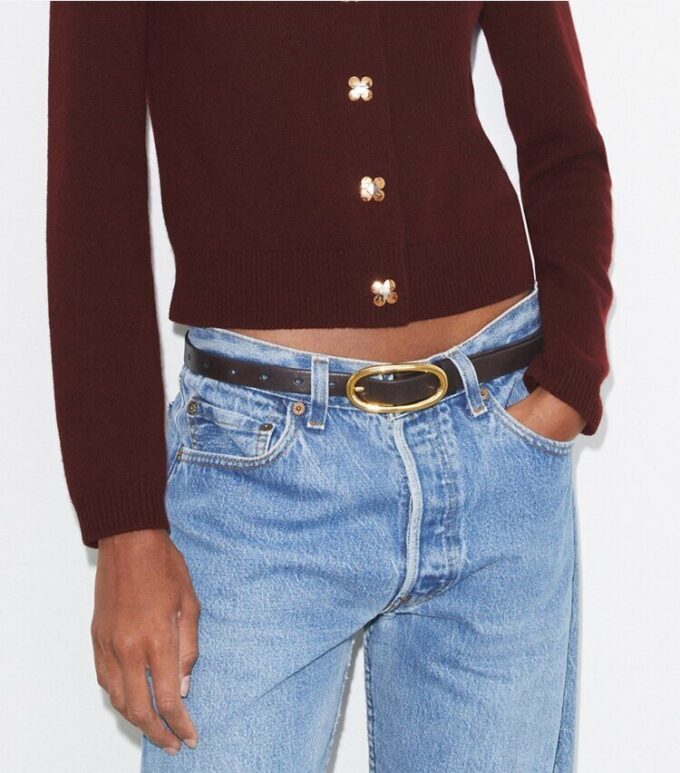 Medium Pierced Buckle Belt