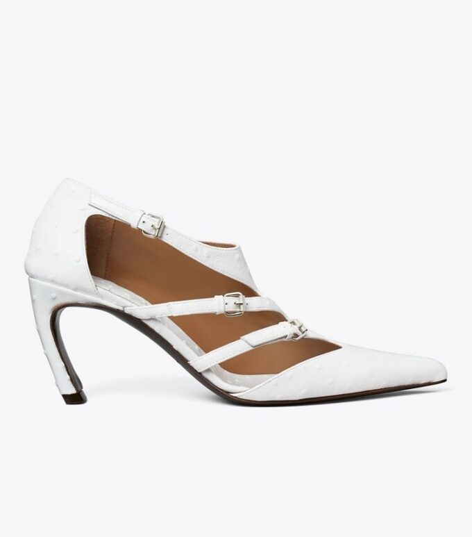 Multi-Buckle Pump