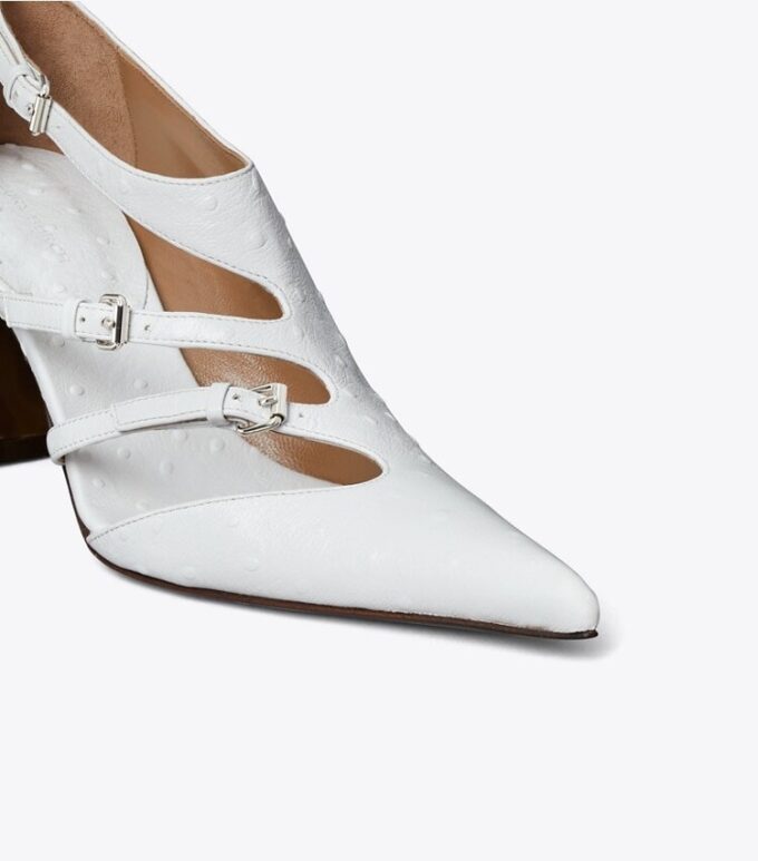Multi-Buckle Pump