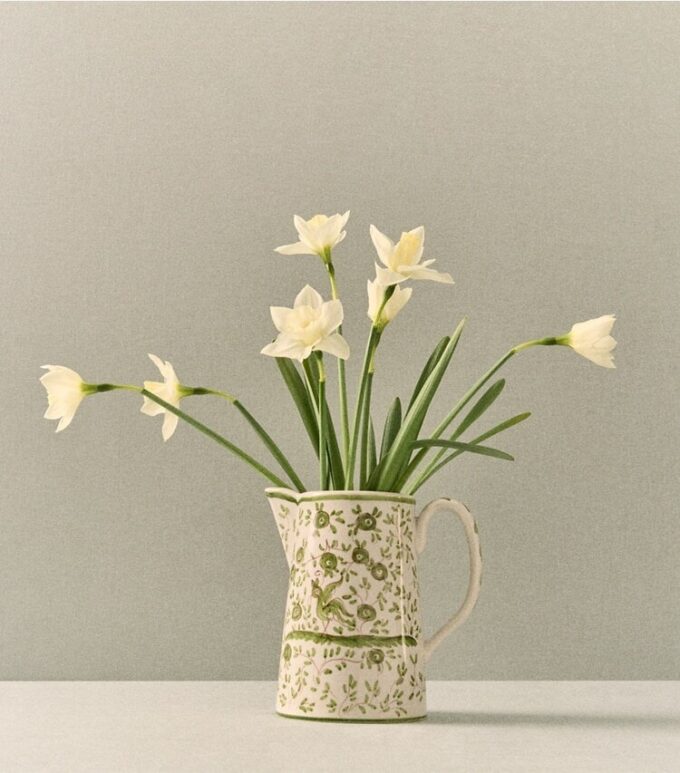 Oiseau Pitcher