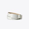 Plate Belt