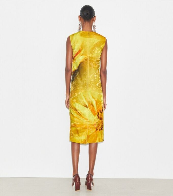 Printed Organza Dress Printed Organza Dress