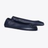 Reva Travel Ballet