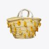 Small Raffia Embroidered Tote