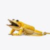 Tory The Toad Pouch